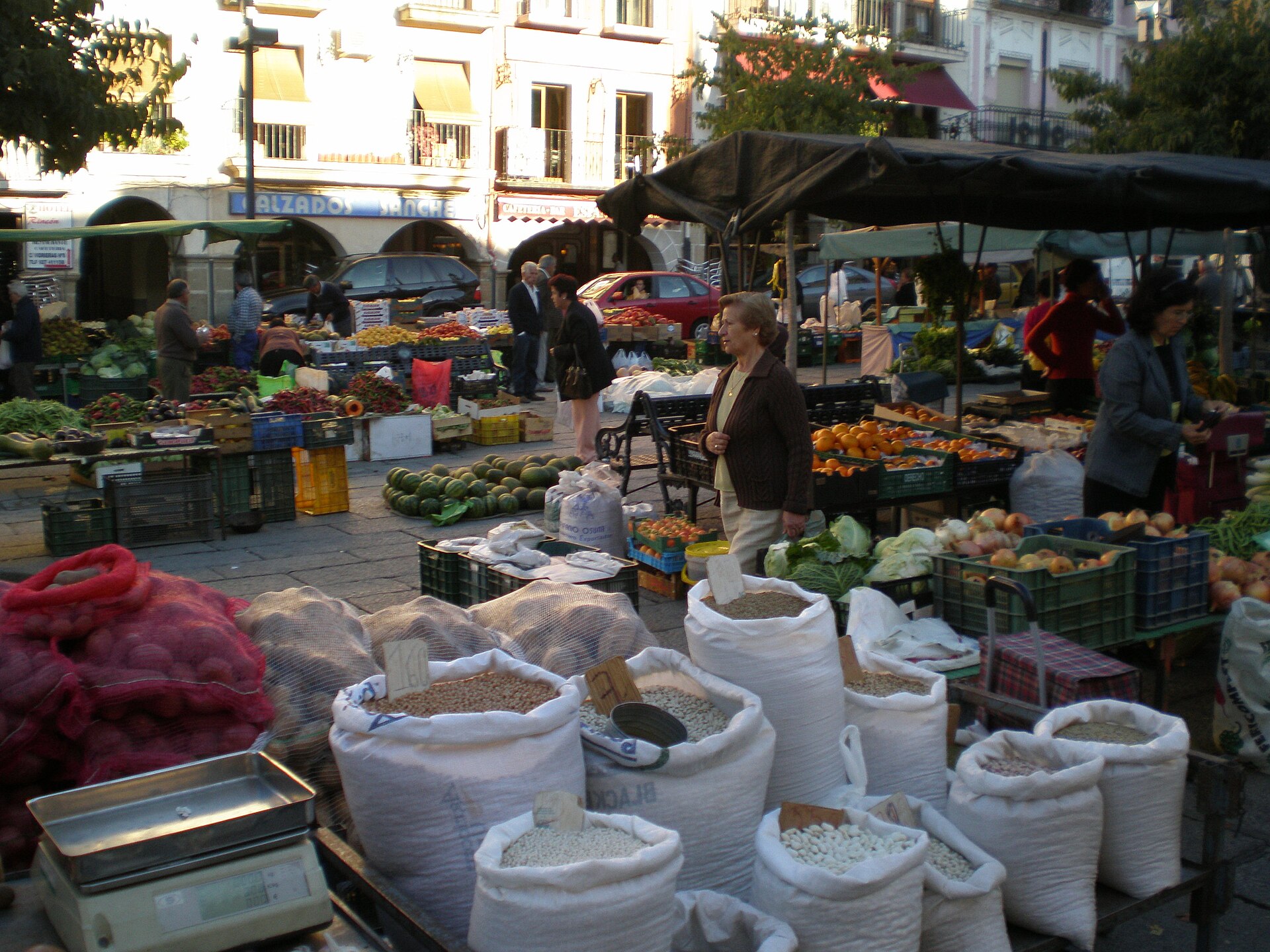 Martes Mayor de Plasencia