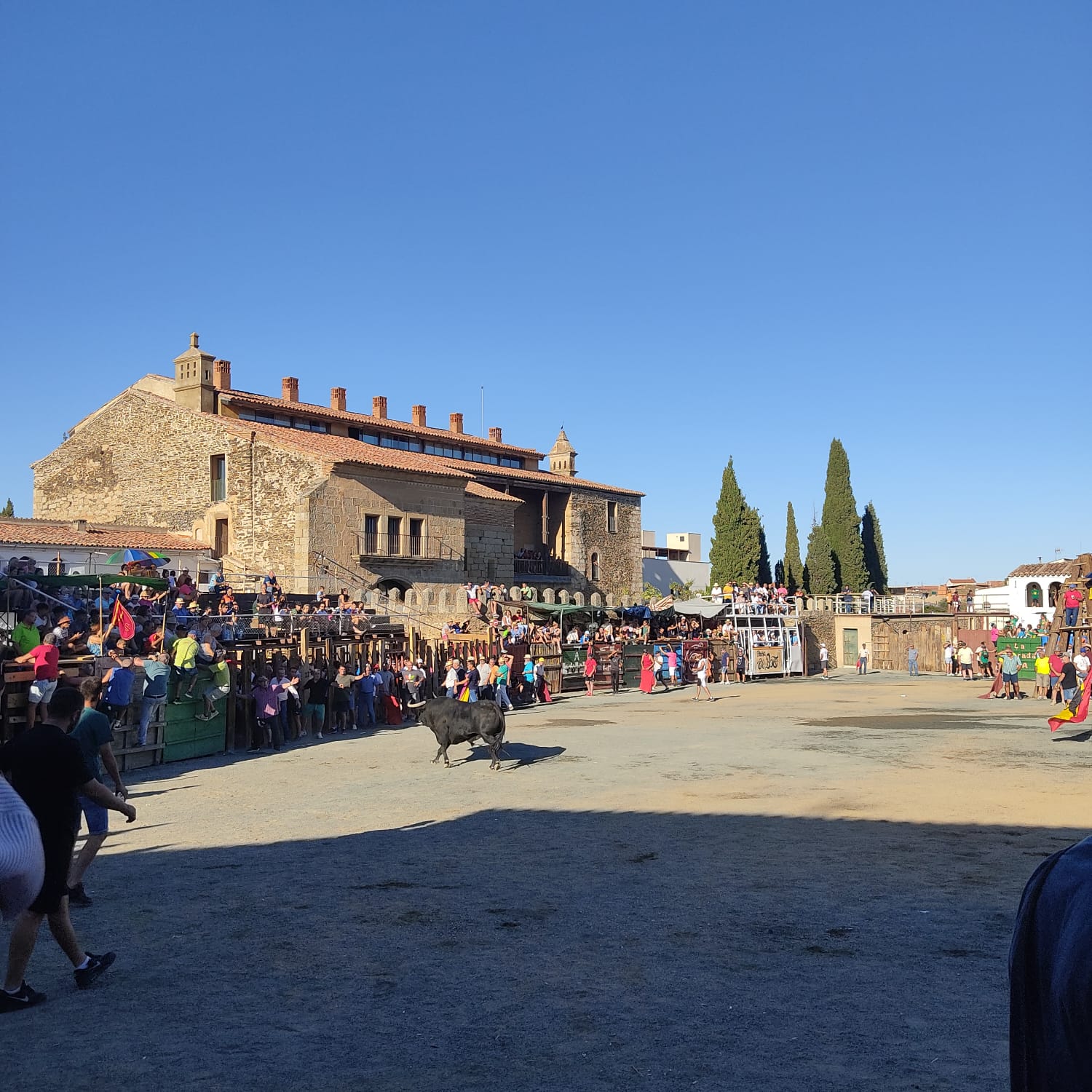 Festejos taurinos de San Roque
