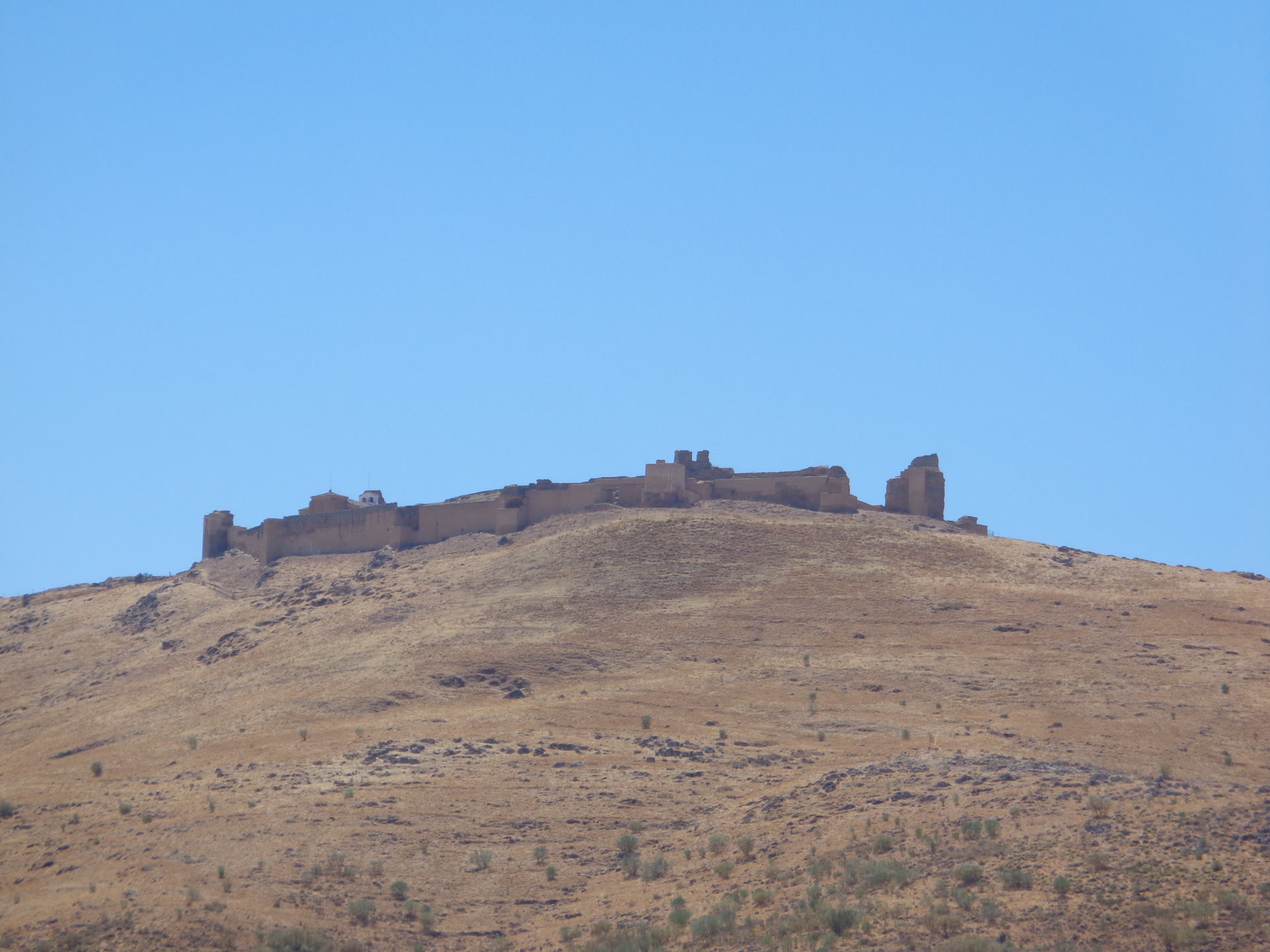 Alcazaba de Reina
