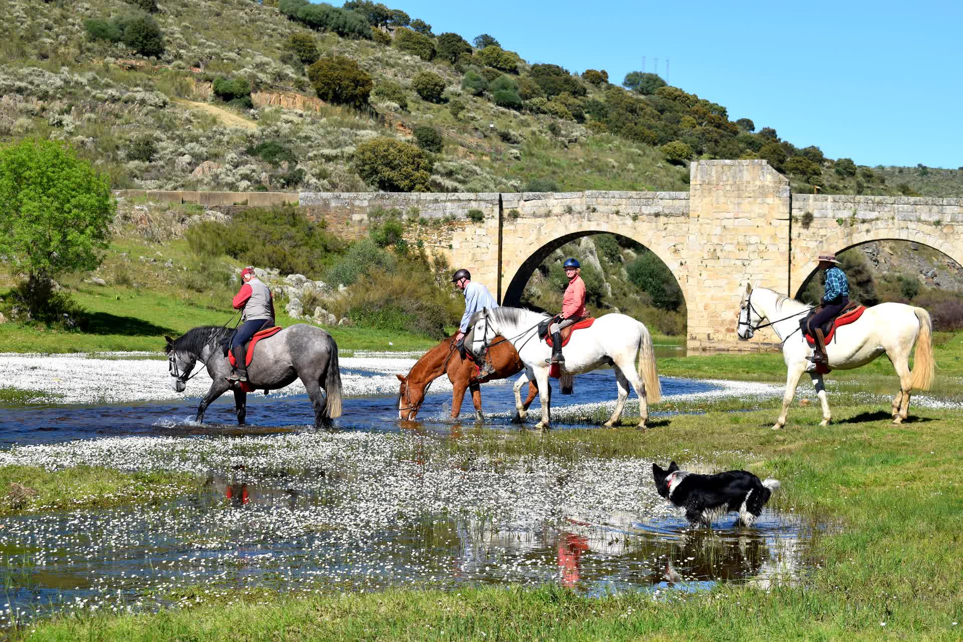 Puente del Cardenal