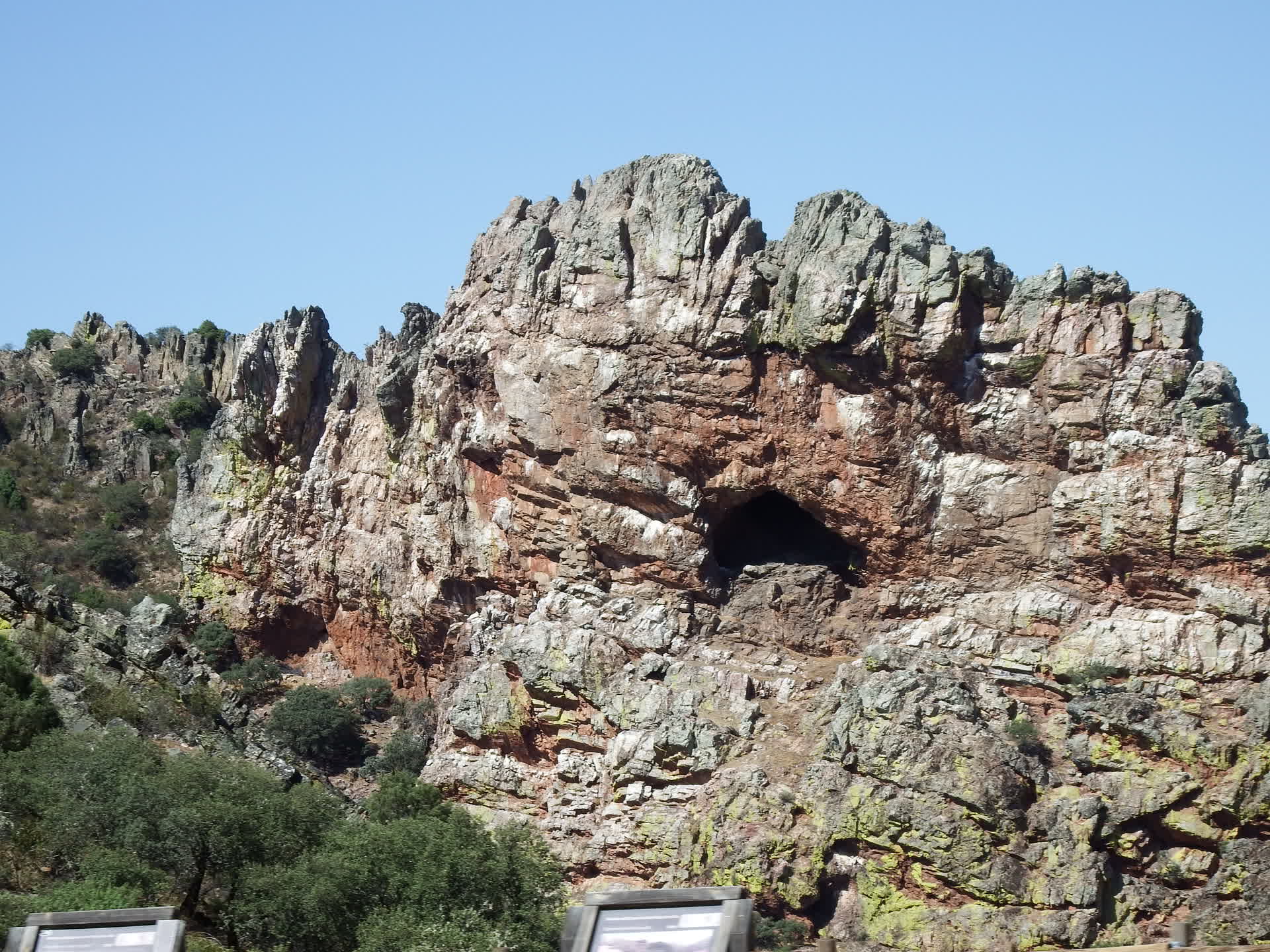 Alía
