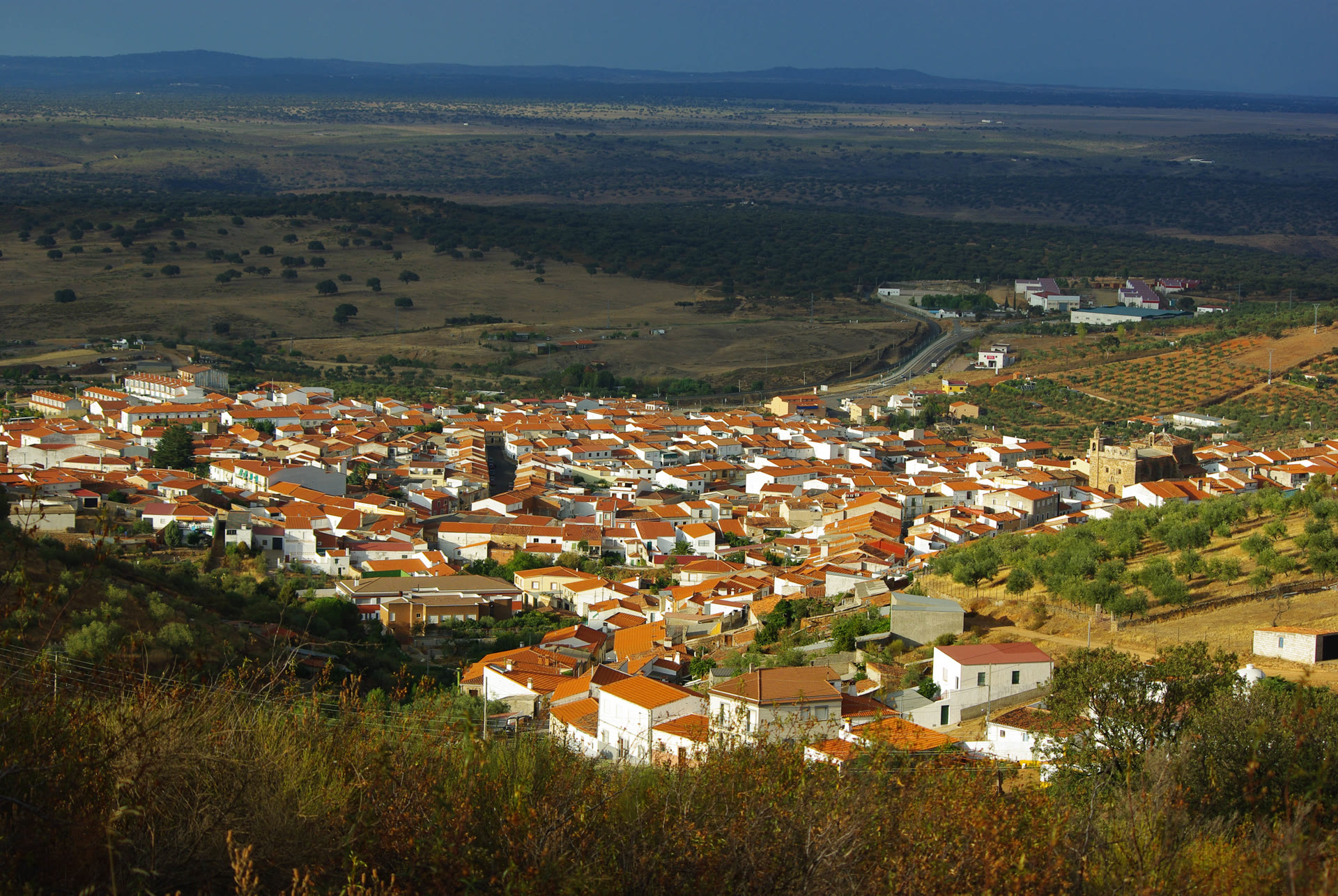 Aliseda