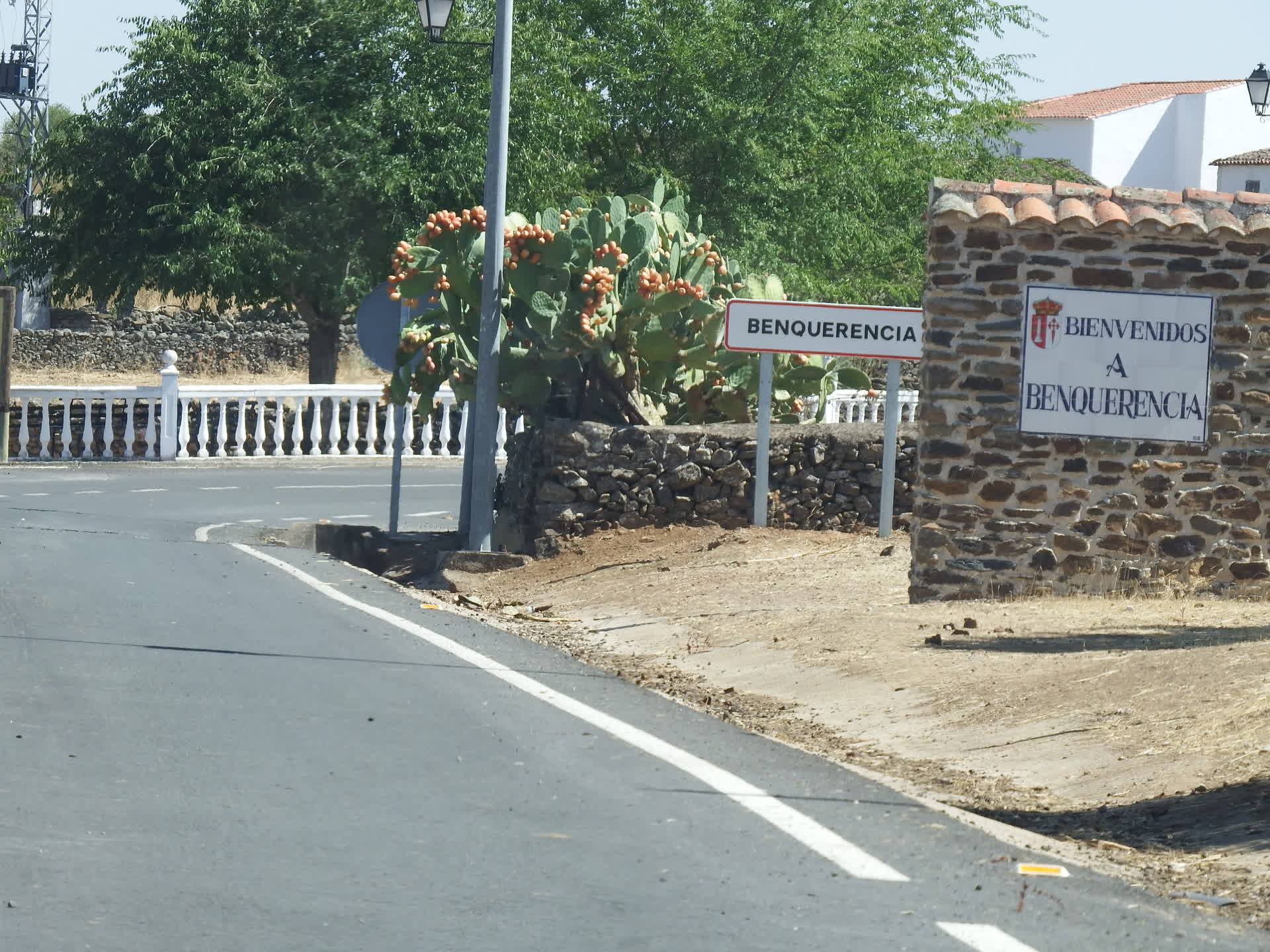 Benquerencia