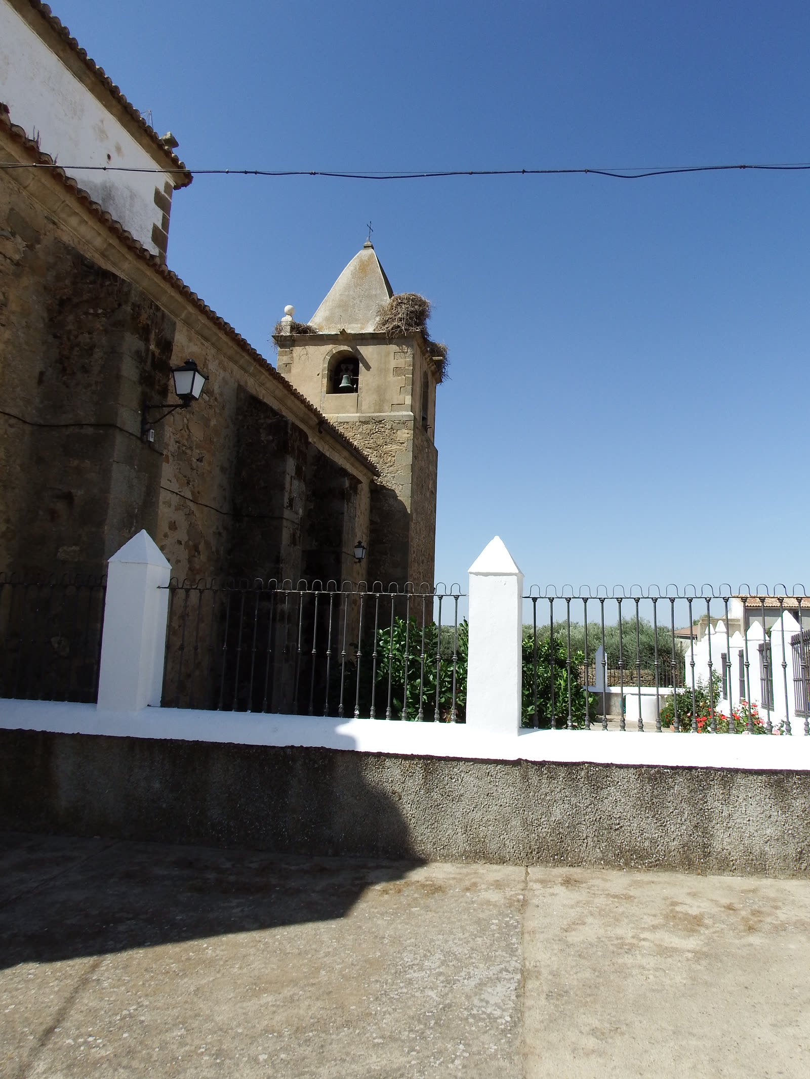 Botija