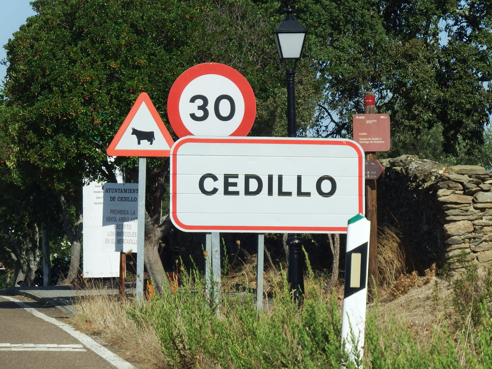 Cedillo