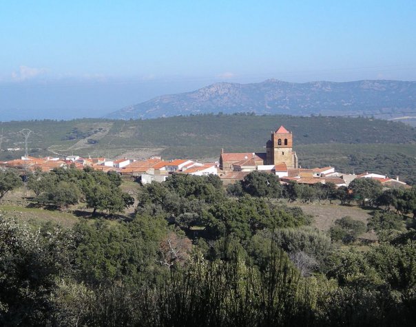 Higuera de Albalat