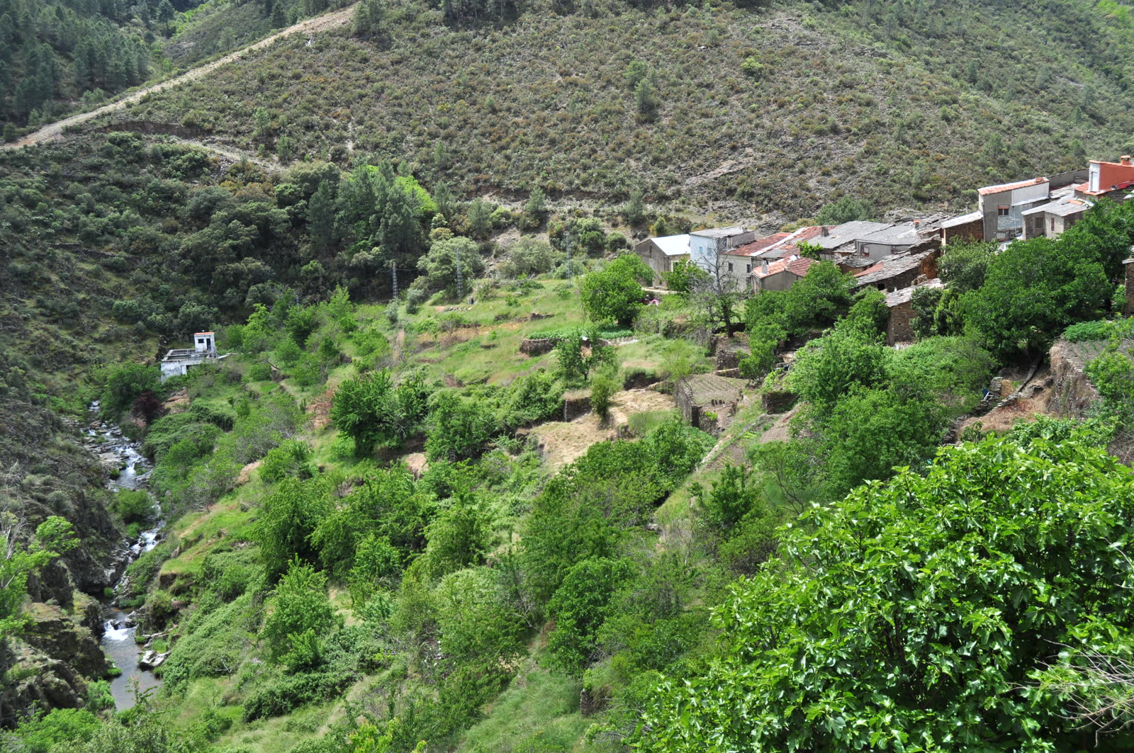 Ladrillar