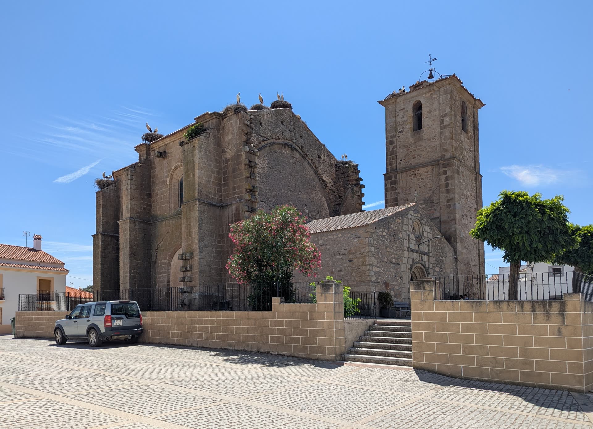 Mata de Alcántara