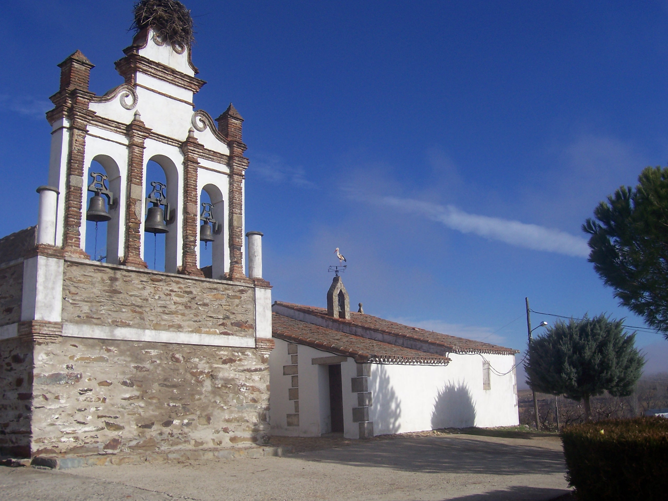Morcillo