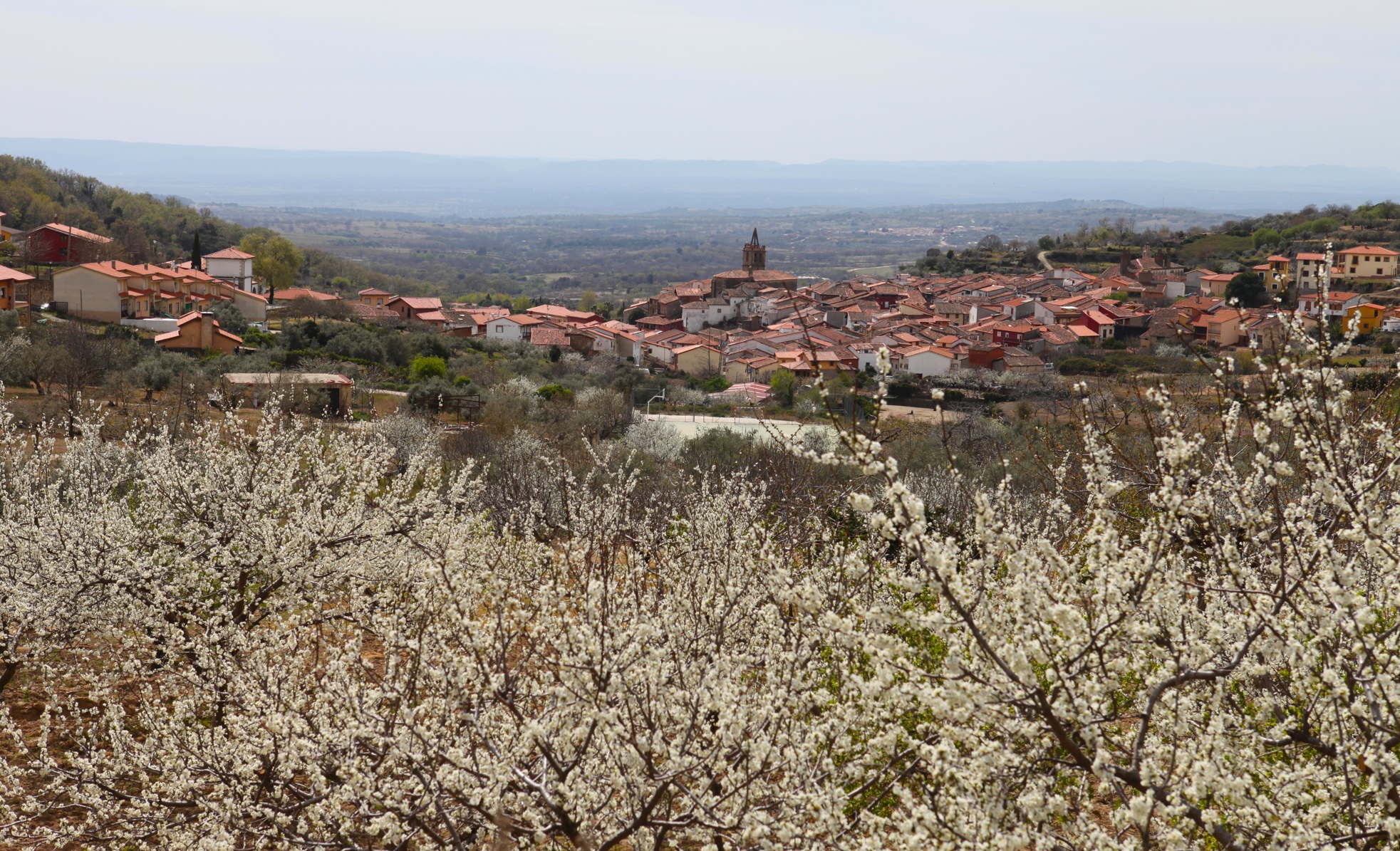 Pasarón de la Vera
