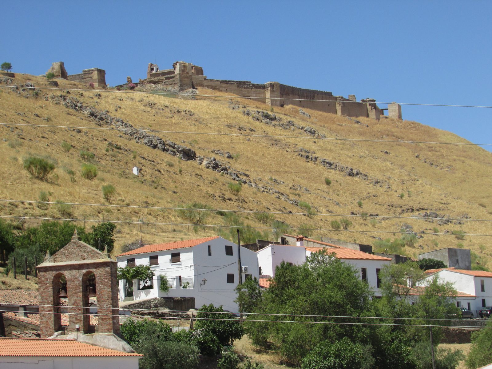 Reina